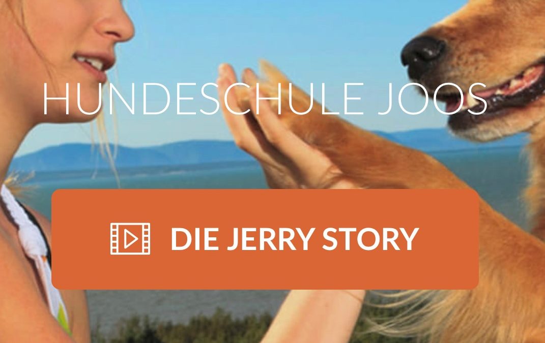 Hundeschule Klaus Joos | Offenburg
