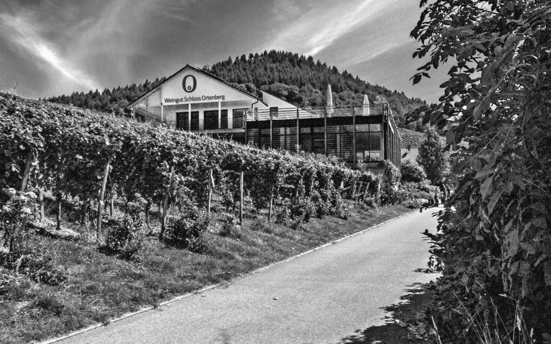 Weingut Schloss Ortenberg | Ortenberg